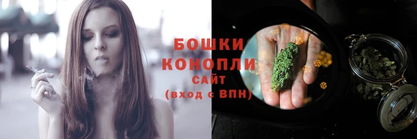 стафф Осташков