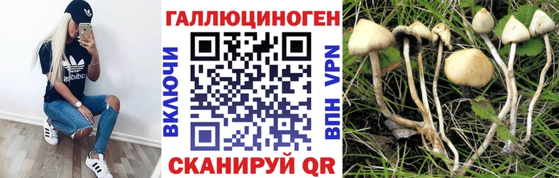 Псилоцибиновые грибы GOLDEN TEACHER  как найти закладки  Будённовск 